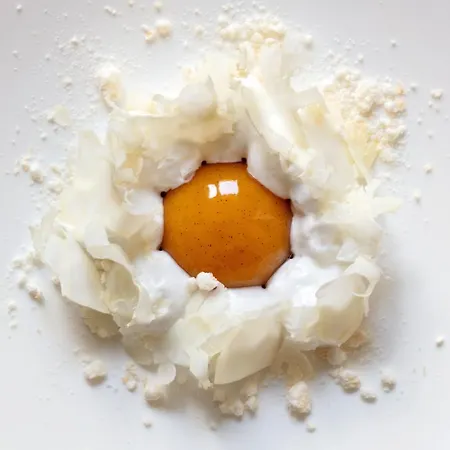 Le Jardin Des Plumes Giverny