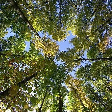 Le Jardin Des Plumes 2* Giverny