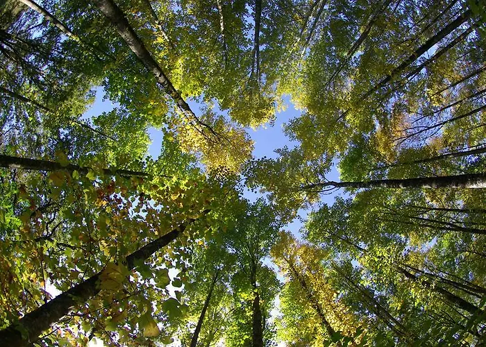 Le Jardin Des Plumes 2* Giverny